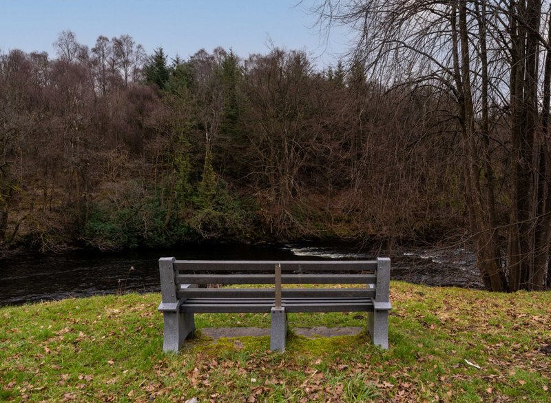 Wooden bench on grassy area overlooking river with bare trees