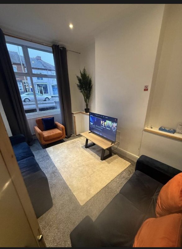Modern living room with orange armchair, TV on stand, potted plant and street-facing window