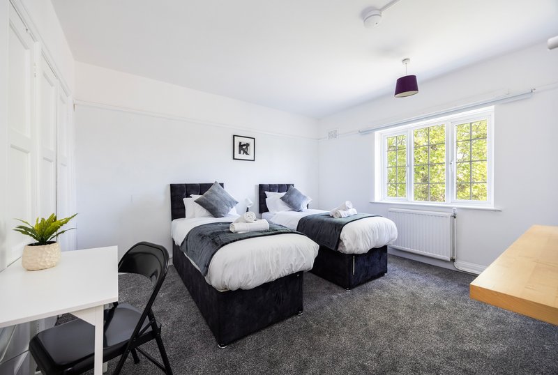 Bright twin bedroom with two black beds, white pillows, grey carpet and large windows