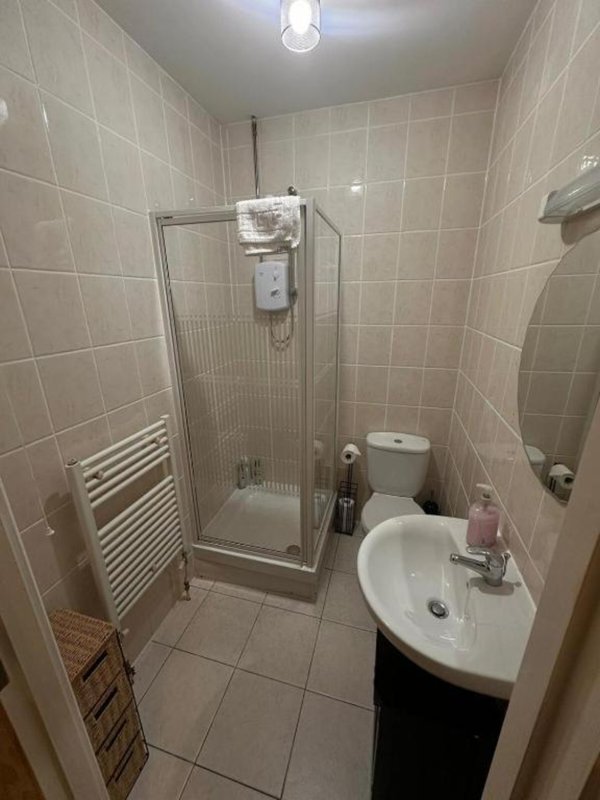 Compact bathroom with shower enclosure, white sink, toilet, and heated towel rail