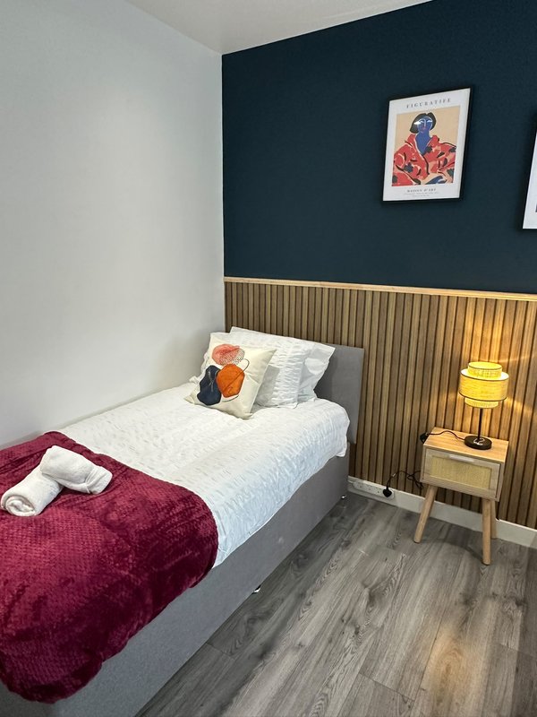 Modern bedroom with single bed, dark blue accent wall, wooden headboard and bedside table with lamp
