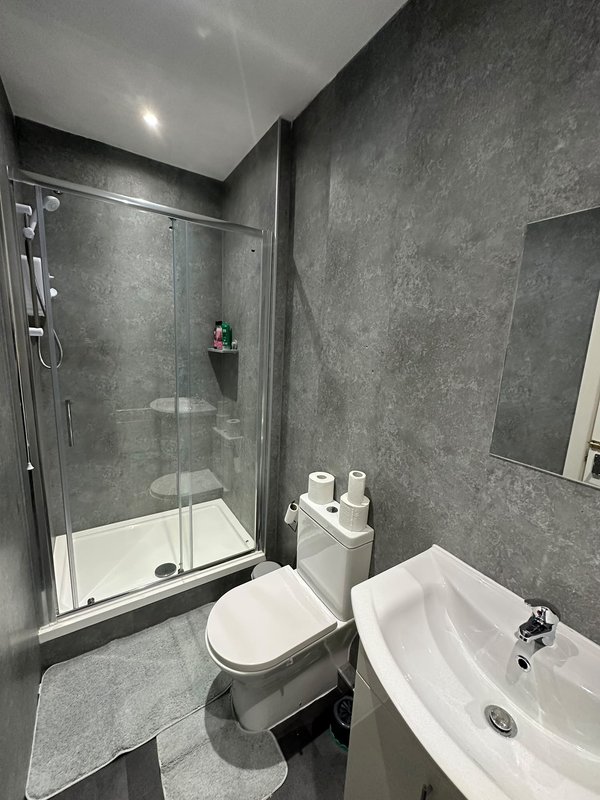 Modern bathroom with walk-in shower, toilet, and white sink vanity